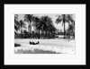 1.5 litre Mercedes in action, Tripoli Grand Prix, Tripoli, Libya, 1939 by Unknown
