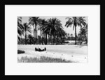 1.5 litre Mercedes in action, Tripoli Grand Prix, Tripoli, Libya, 1939 by Unknown