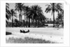 1.5 litre Mercedes in action, Tripoli Grand Prix, Tripoli, Libya, 1939 by Unknown