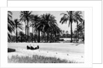 1.5 litre Mercedes in action, Tripoli Grand Prix, Tripoli, Libya, 1939 by Unknown