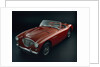 1956 Austin Healey 100-BM2 car by Unknown