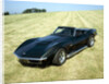 A 1969 Chevrolet Corvette Stingray in a field by Unknown