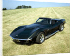 A 1969 Chevrolet Corvette Stingray in a field by Unknown