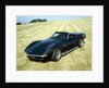 A 1969 Chevrolet Corvette Stingray in a field by Unknown