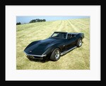 A 1969 Chevrolet Corvette Stingray in a field by Unknown