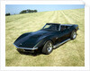 A 1969 Chevrolet Corvette Stingray in a field by Unknown