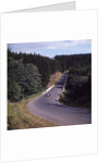 A view of part of the Nurburgring race track, German Grand Prix, Germany, 1963 by Unknown
