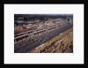 Starting grid of the French Grand Prix, Le Mans, 1967 by Unknown