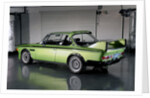 BMW 3.0 CSL BAT 1975 by Simon Clay