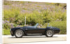 AC Cobra 427 1966 by Simon Clay
