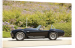 AC Cobra 427 1966 by Simon Clay