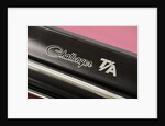 Dodge Challenger TA 1970 by Simon Clay