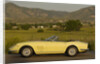 Ferrari Nart Spyder 1967 by Simon Clay