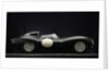 Jaguar D type 1956 by Simon Clay