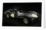 Jaguar D type 1956 by Simon Clay