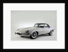 Jaguar E type 1961 by Simon Clay