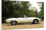 Jaguar E type 1974 by Simon Clay