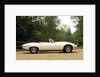 Jaguar E type 1974 by Simon Clay