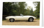 Jaguar E type 1974 by Simon Clay
