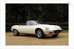 Jaguar E type 1974 by Simon Clay