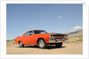 Plymouth Hemi Roadrunner 1970 by Simon Clay