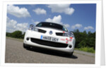 Renault Megane Sport R26R 2009 by Simon Clay