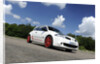 Renault Megane Sport R26R 2009 by Simon Clay