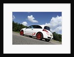 Renault Megane Sport R26R 2009 by Simon Clay