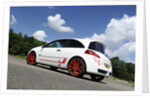 Renault Megane Sport R26R 2009 by Simon Clay