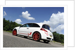 Renault Megane Sport R26R 2009 by Simon Clay