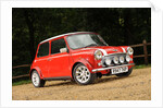 Rover Mini Cooper works 1998 by Simon Clay