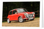 Rover Mini Cooper works 1998 by Simon Clay