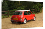 Rover Mini Cooper works 1998 by Simon Clay
