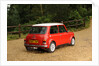 Rover Mini Cooper works 1998 by Simon Clay