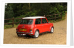 Rover Mini Cooper works 1998 by Simon Clay