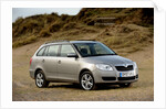 Skoda Fabia Estate 2007 by Simon Clay