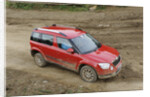 Skoda Yeti 2009 by Simon Clay