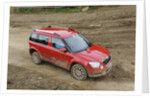 Skoda Yeti 2009 by Simon Clay