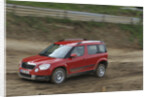 Skoda Yeti 2009 by Simon Clay