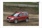 Skoda Yeti 2009 by Simon Clay
