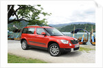 Skoda Yeti 2009 by Simon Clay