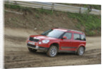 Skoda Yeti 2009 by Simon Clay
