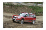 Skoda Yeti 2009 by Simon Clay