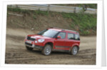 Skoda Yeti 2009 by Simon Clay