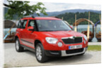 Skoda Yeti 2009 by Simon Clay
