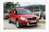Skoda Yeti 2009 by Simon Clay
