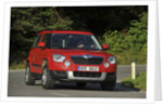 Skoda Yeti 2009 by Simon Clay