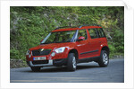 Skoda Yeti 2009 by Simon Clay