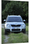 Skoda Yeti 2009 by Simon Clay
