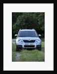 Skoda Yeti 2009 by Simon Clay